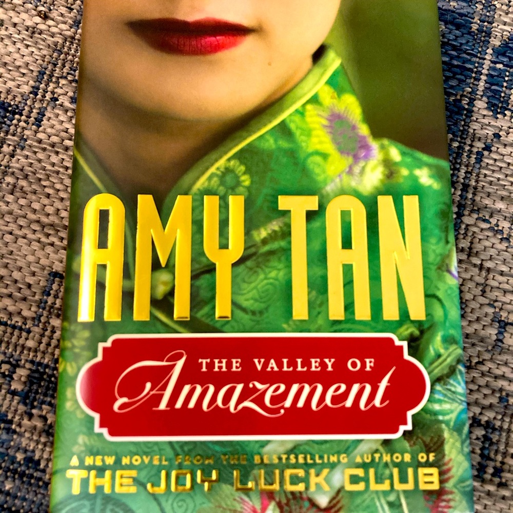 Popular novel